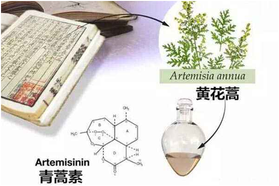 米乐在线,米乐在线（中国）：向中医药看齐，与世界共享中医药文化(图1)